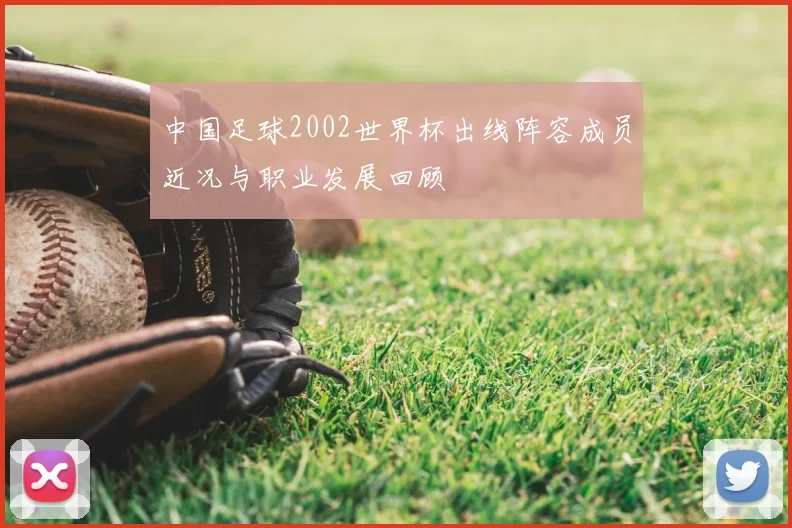 中国足球2002世界杯出线阵容成员近况与职业发展回顾
