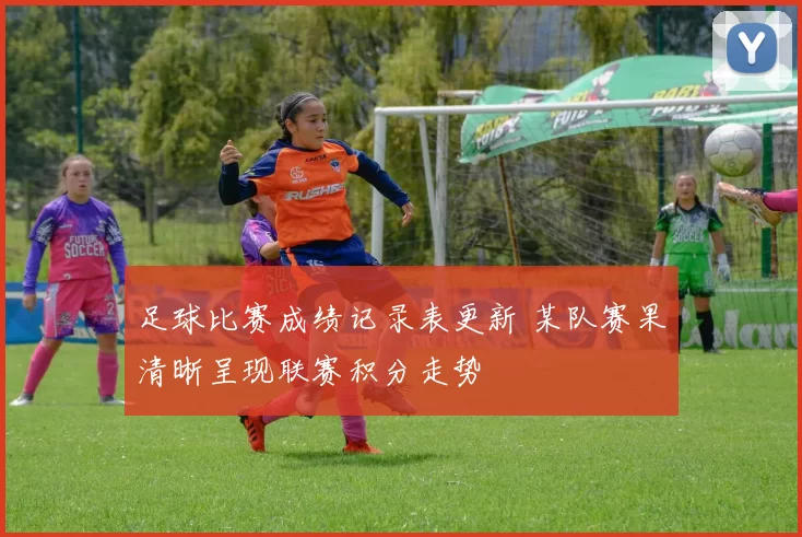 足球比赛成绩记录表更新 某队赛果清晰呈现联赛积分走势