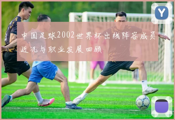 中国足球2002世界杯出线阵容成员近况与职业发展回顾