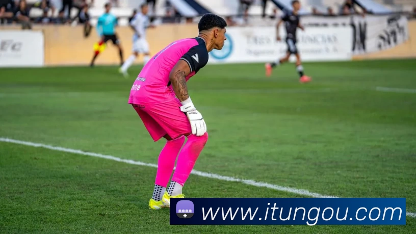 EMC易倍(官方网站)中国大陆 - 科技有限公司服务体系